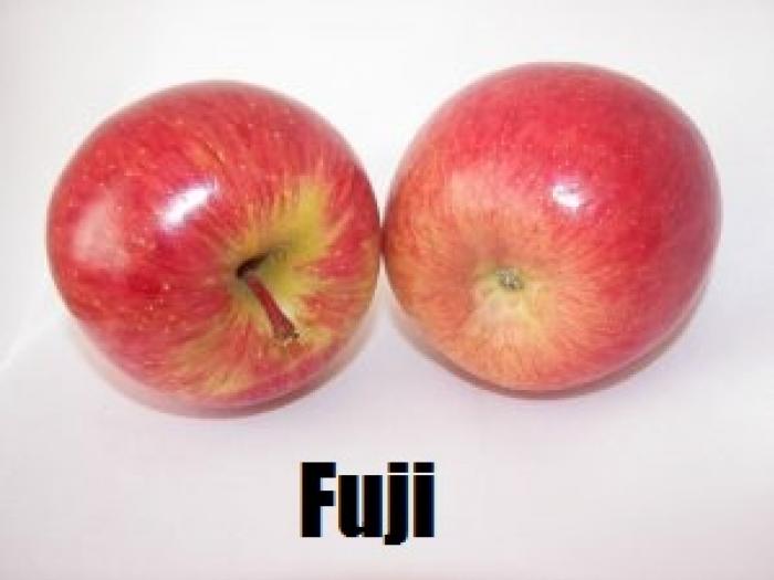 Fuji