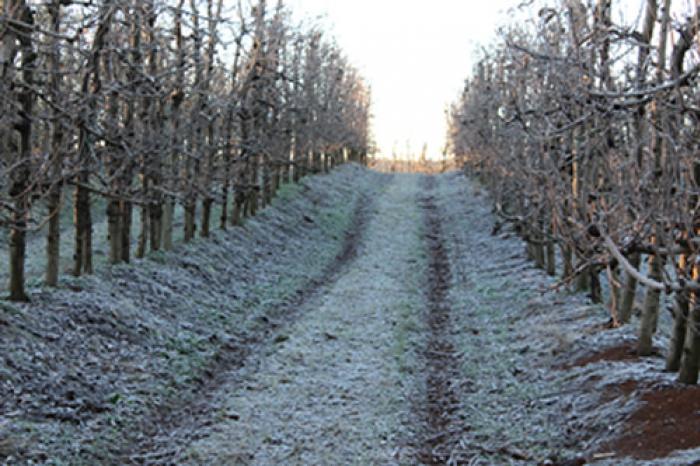 Inverno